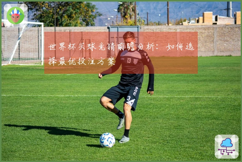 世界杯买球竞猜前瞻分析：如何选择最优投注方案