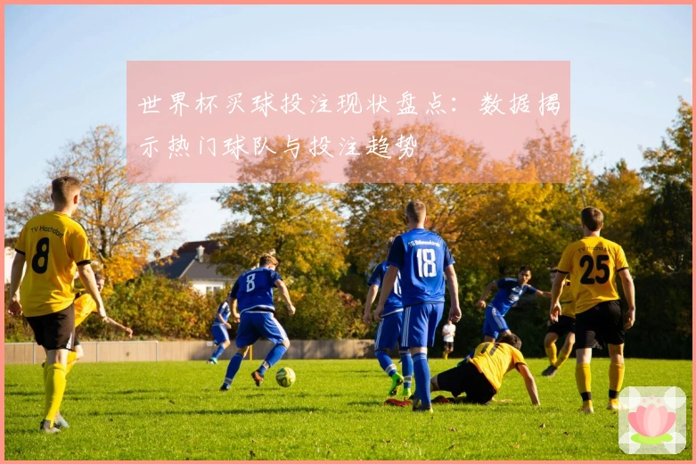 世界杯买球投注现状盘点：数据揭示热门球队与投注趋势